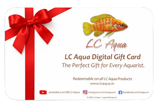 LC Aqua Digital Gift Card